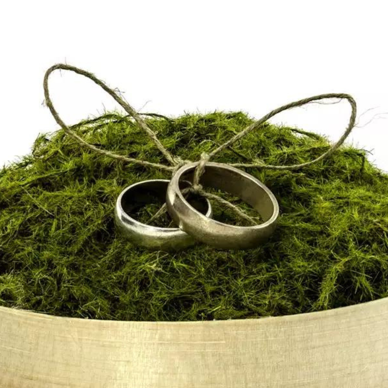 Ringdose mit Moos alternative Zum Ringkissen Eheringe Ringschale Vintage oder Boho Hochzeit