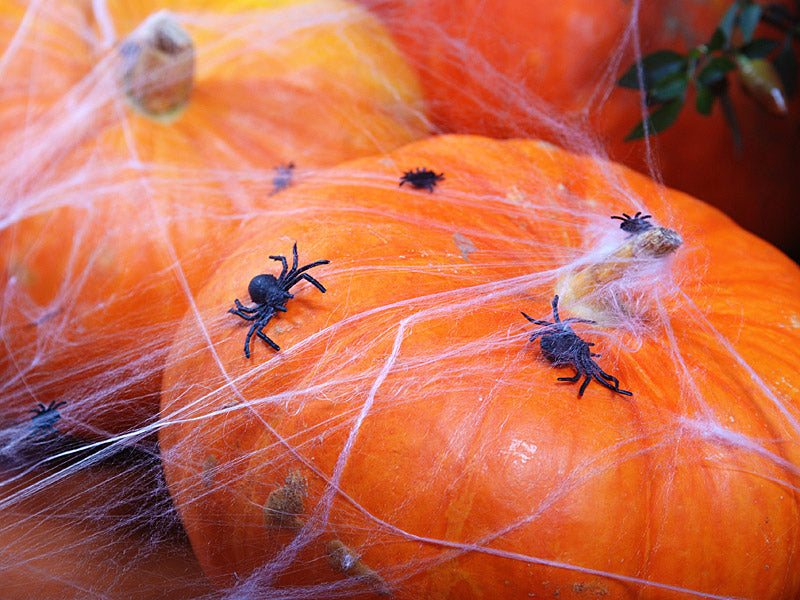 Halloween Streu-Deko &quot;Spinnen&quot;